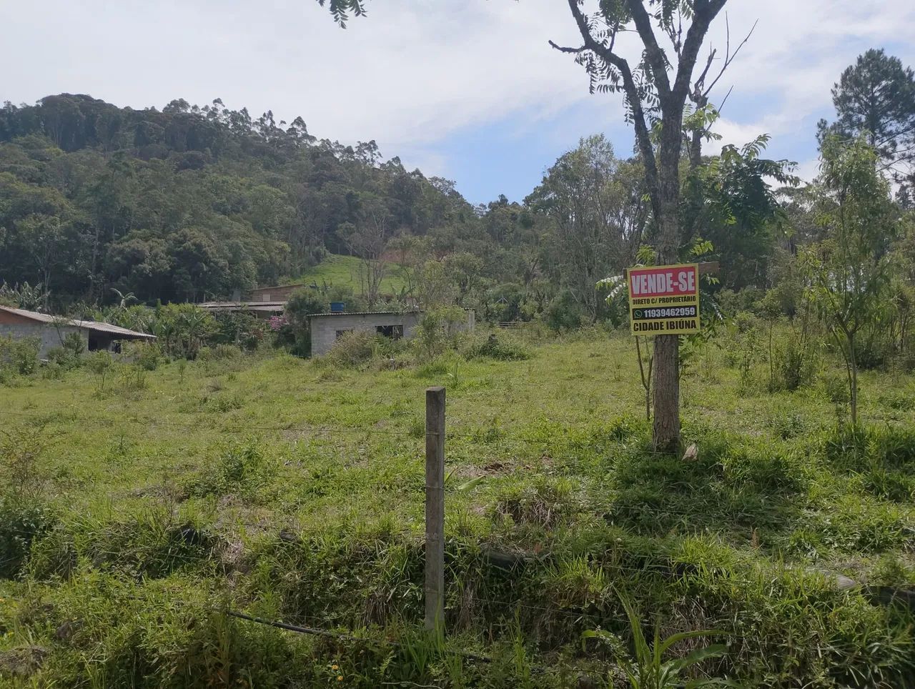 Foto - Ibiúna - 