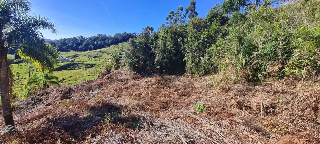 Sitio com escritura publica em Águas Mornas - SC - Foto 5