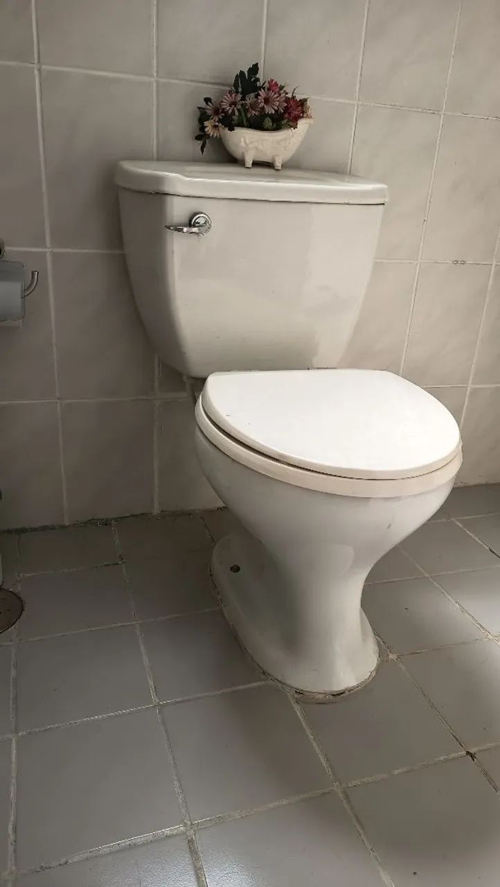 Vaso sanitário com caixa acoplada e tampa com fixação em inox 