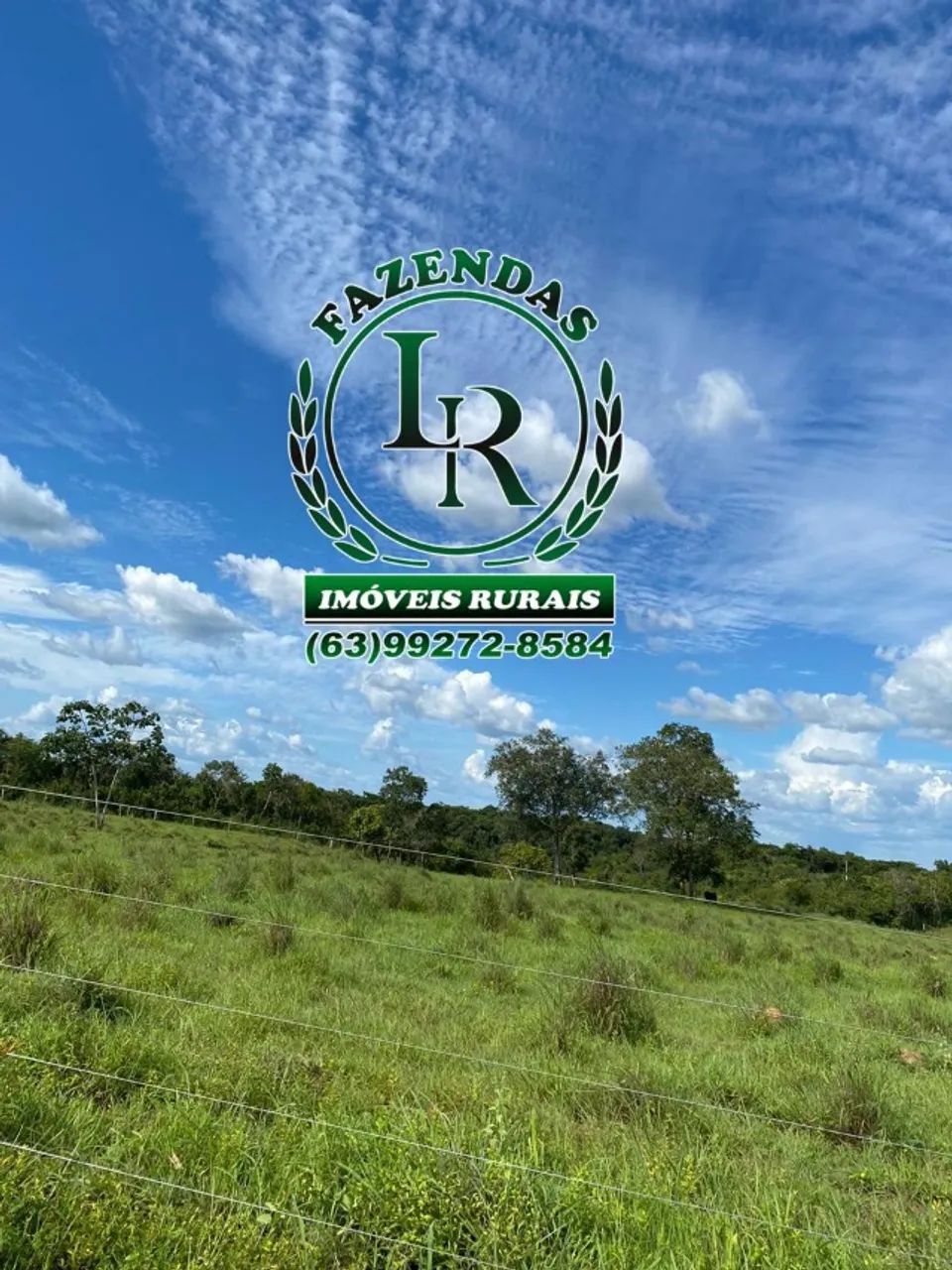 Chácara 89 Hectares   Entre  Palmas e Aparecida - Foto 4