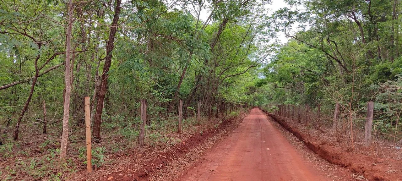 Chácara em Trindade  - Foto 4