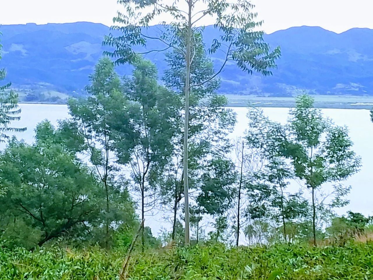 Seu refúgio com vista panorâmica para lagoa de Imarui  - Foto 2