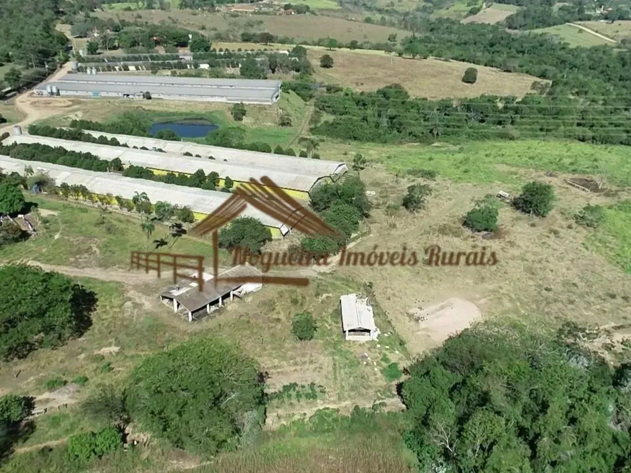 Sitio com granjas, 200 mil aves - Foto 3