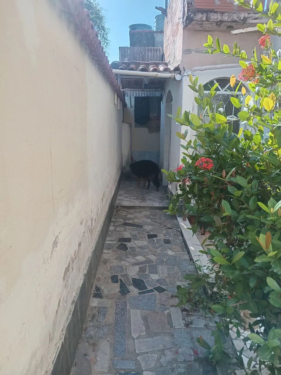 Alugo casa praça trindade. - Foto 5