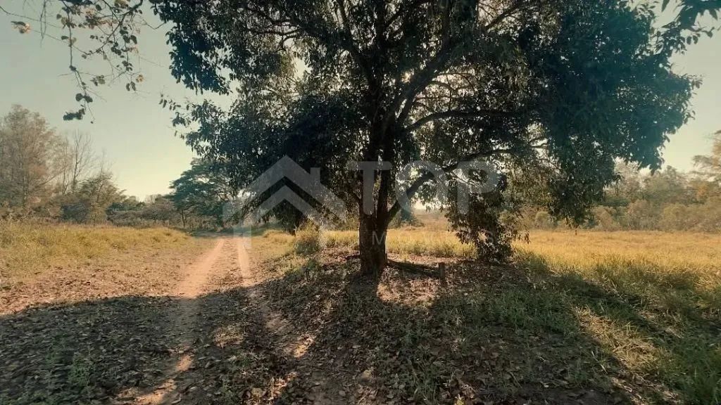 Chácara à Venda em Analândia-SP - Foto 3
