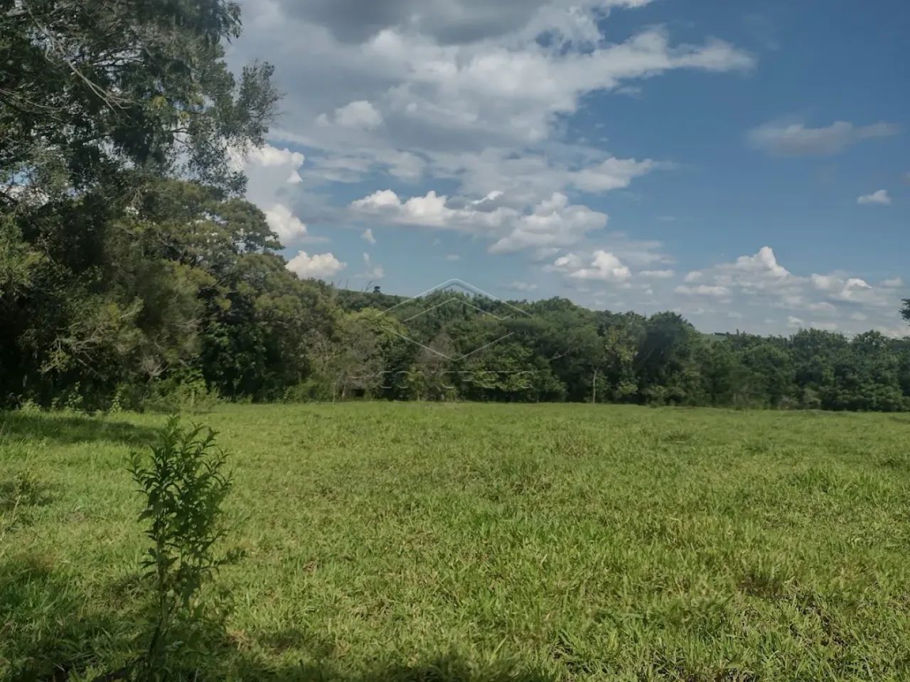 Rural Sitio em Dois Córregos - Foto 5