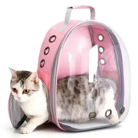 Mochila de transporte para animais de estimação, bolsa de viagem para gatos, transparente, - Foto 5