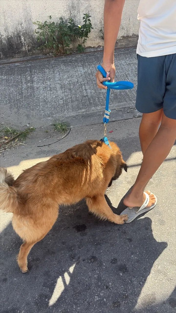Doação  - Foto 4