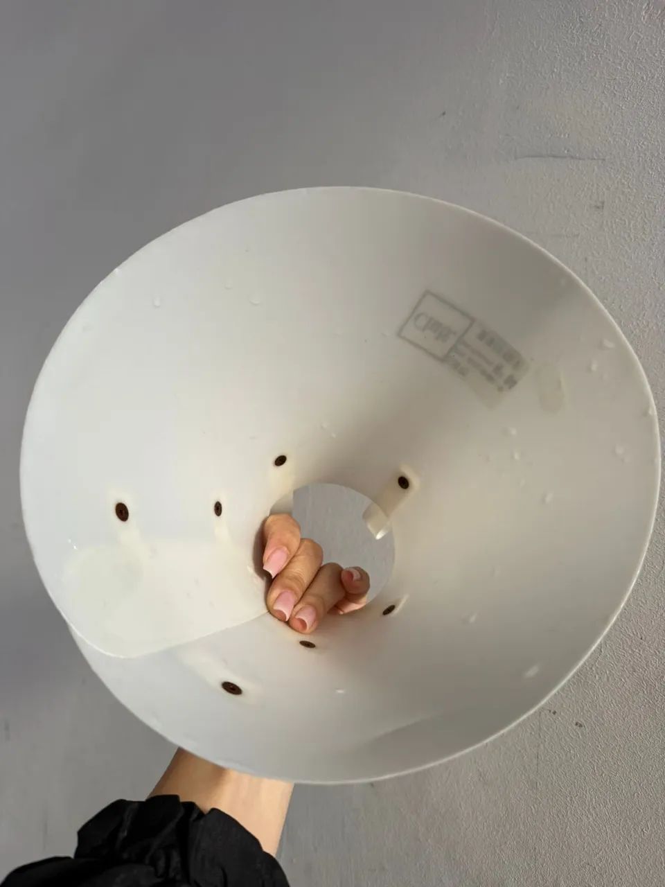 Cone pet