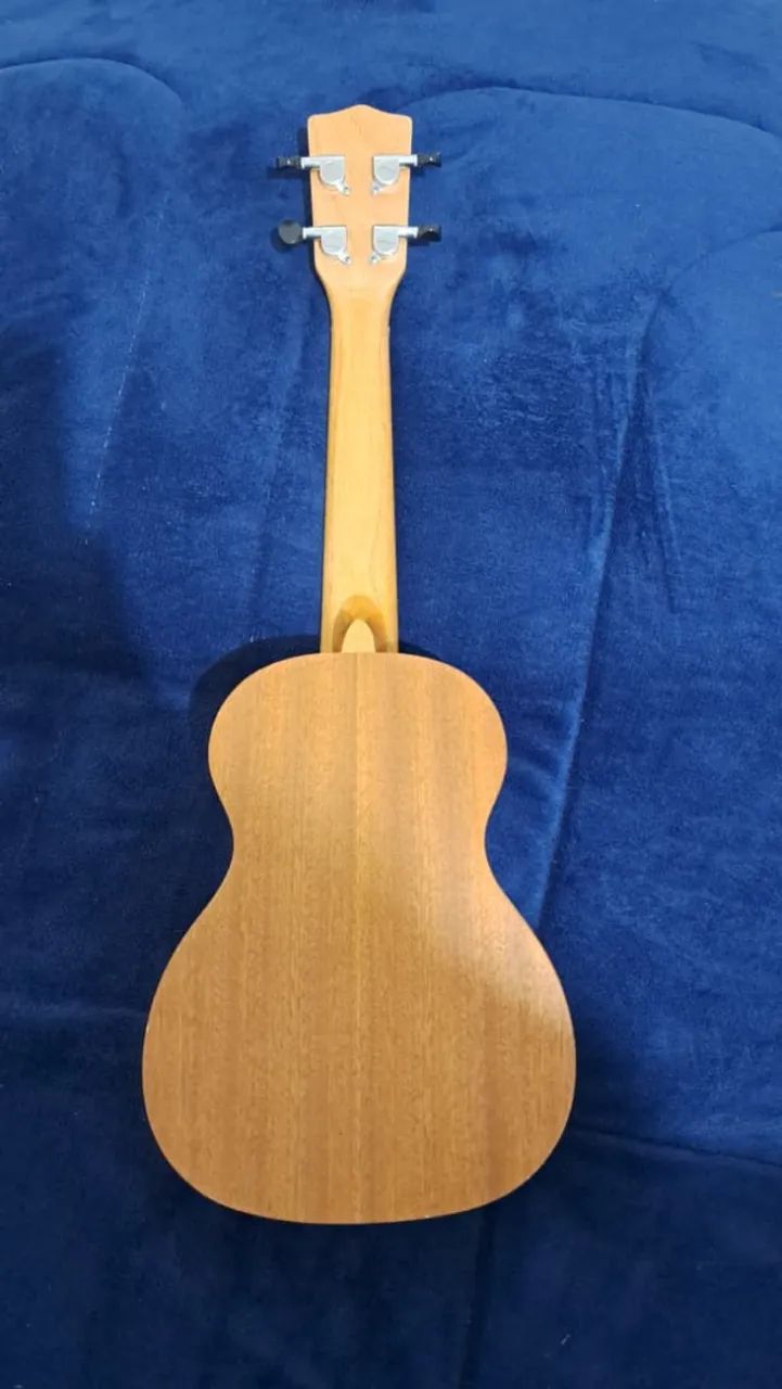 Ukulele Concert - Strinberg - Foto 5