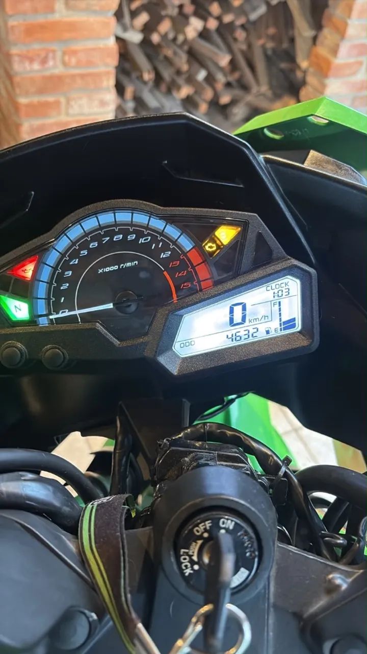Kawasaki Ninja 300  - Foto 2
