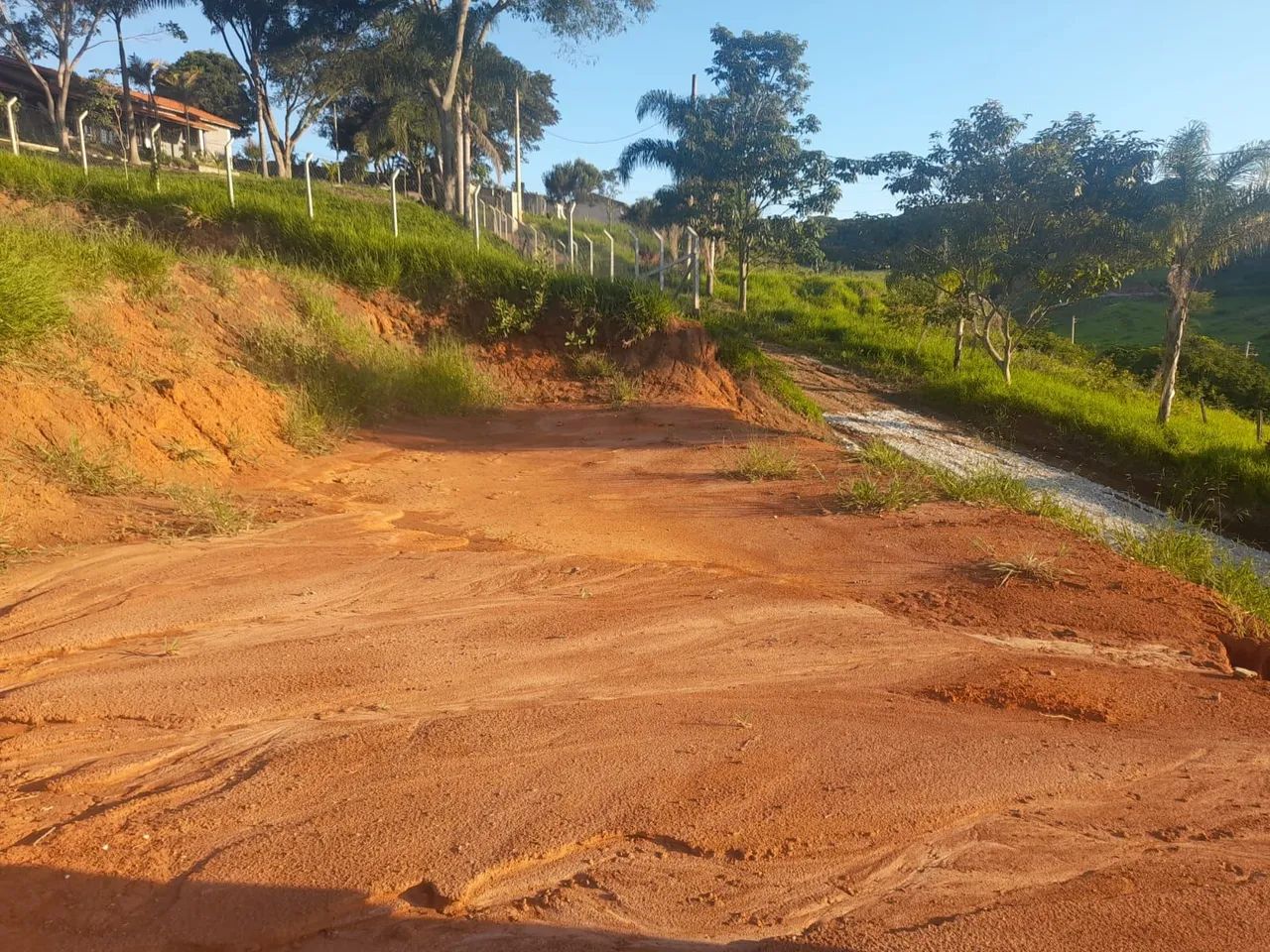Chacara das palmeiras - Foto 7