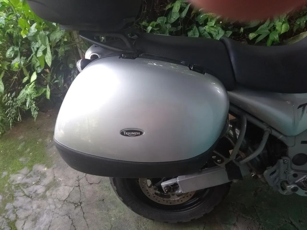 Vendo linda Triumph 955i - Foto 3