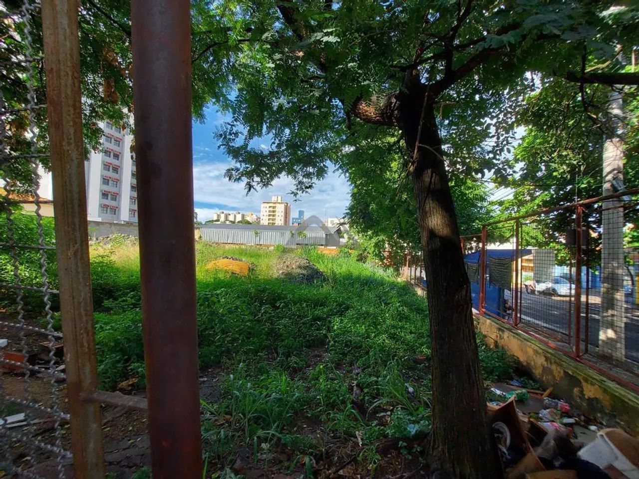 Terreno à venda em Campinas, Vila Itapura, com 280 m² - Foto 4