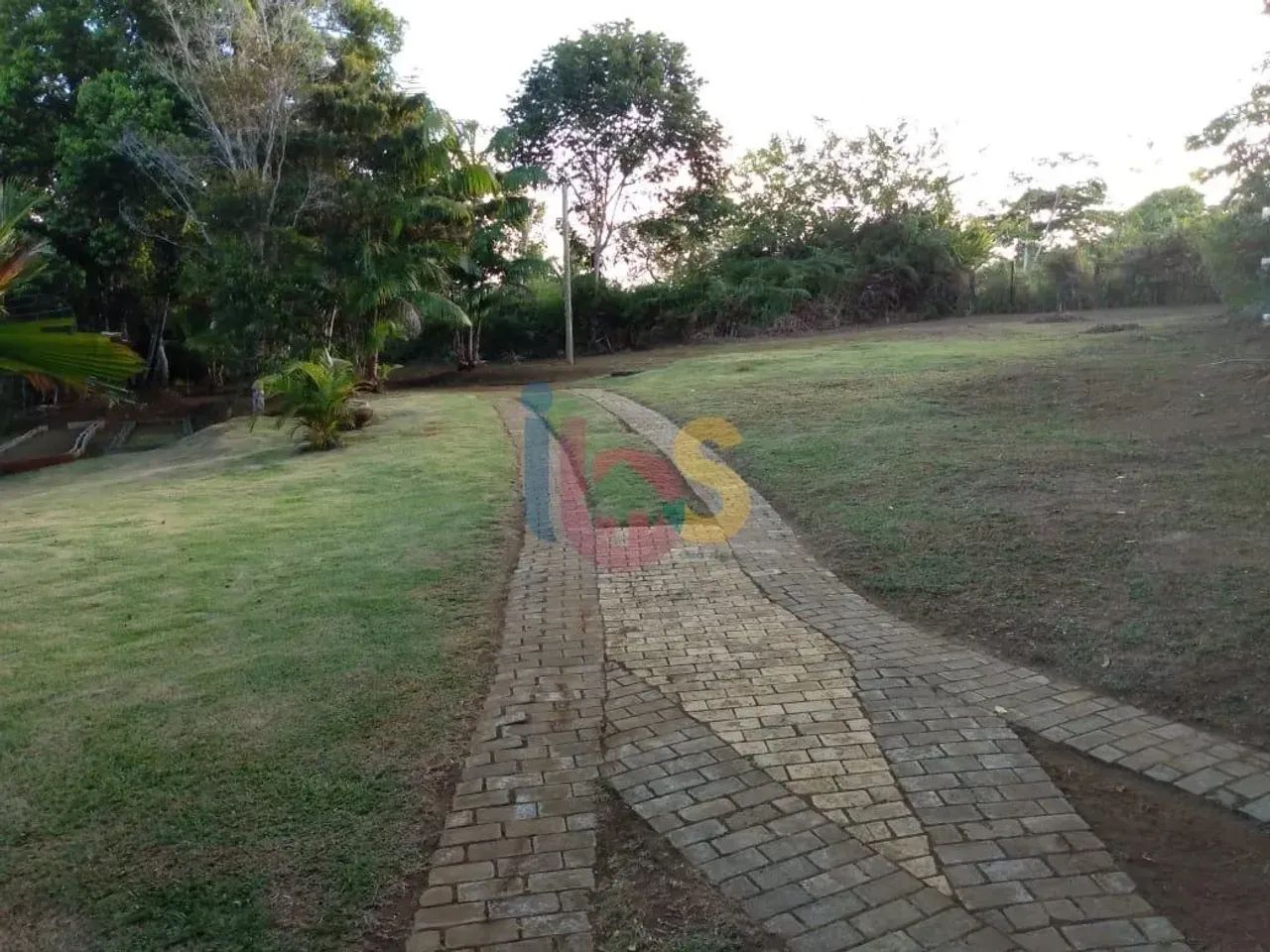 Vendo Sítio em Jeribucaçu - Itacaré - Foto 3
