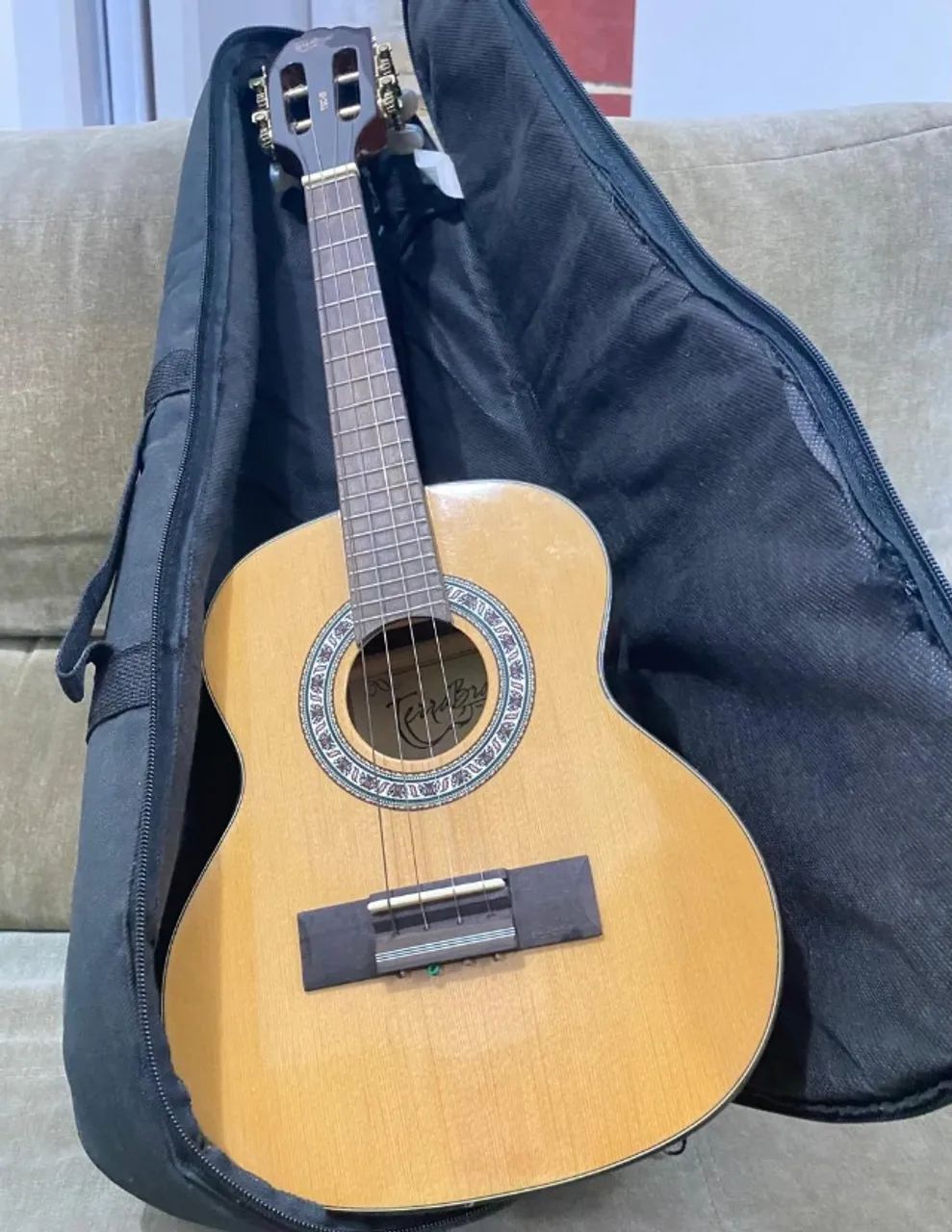 Cavaquinho Terra Brasil TGC-01 - Instrumentos musicais - Vila