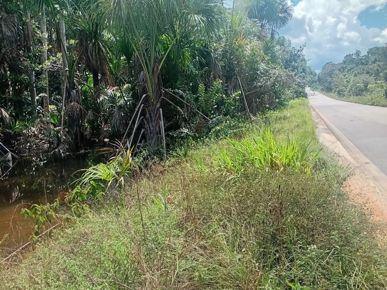 VENDO OU TROCO POR CARRO OU NEGOCIO TERRENO  na BR  174 KM 93, com doc. de compra e venda - Foto 4