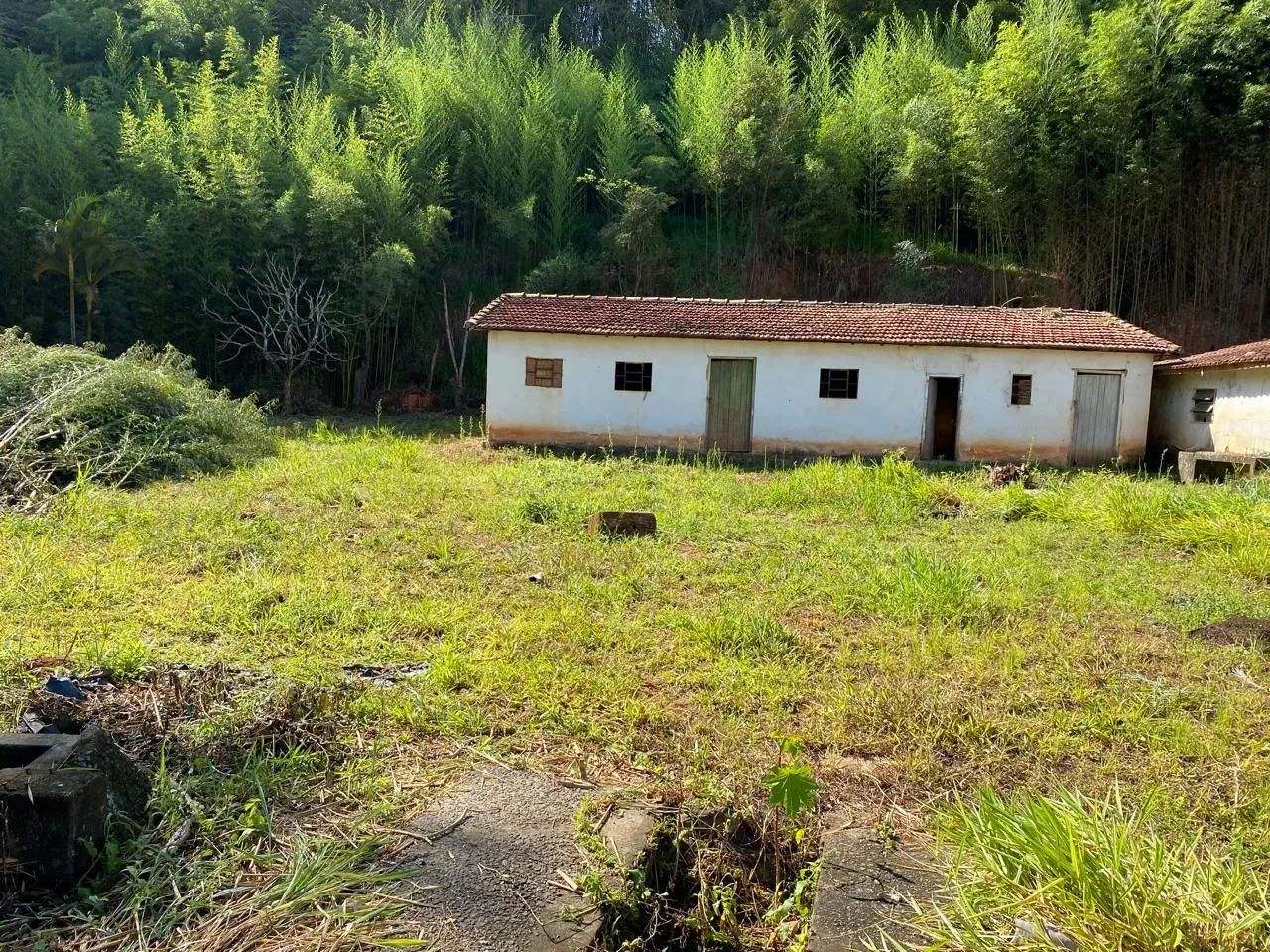 Sitio 40.000m² Piranguinho MG - Foto 2