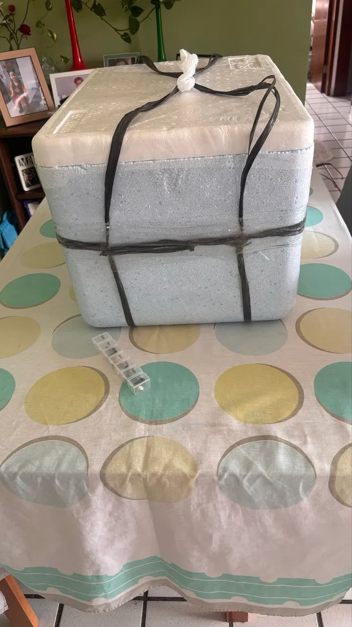 Peixe CAIXA TERMICA Isopor ou Isopores varios lts CADA