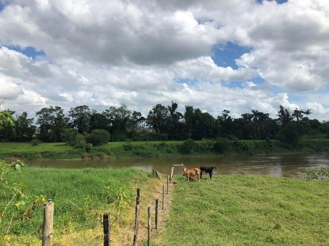 Chácara em Guaramirim - Foto 6