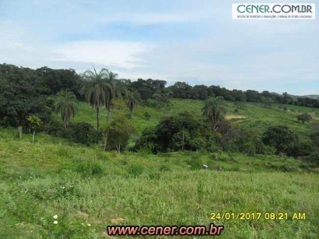 07F/Bela fazenda de 18,78 ha com linda sede estilo antigo, cachoeiras e produtiva - Foto 2