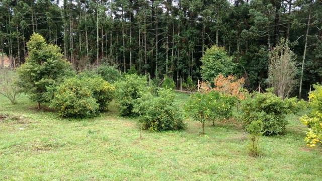 Chacara a 4 km do centro de Araucara 3.734,18 pronto para construir - Foto 8