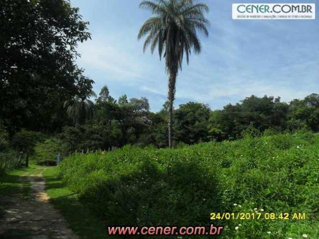 07F/Bela fazenda de 18,78 ha com linda sede estilo antigo, cachoeiras e produtiva - Foto 4