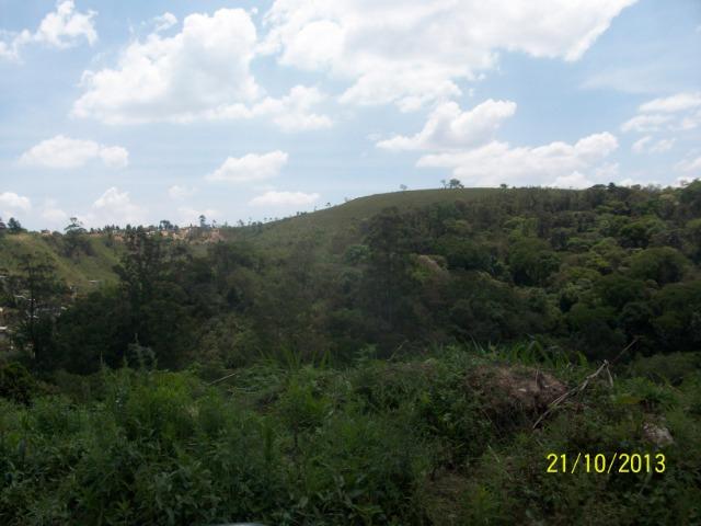 Sitio Terreno 195 Mil M² Ótima Área Investimento Loteamento - Foto 2