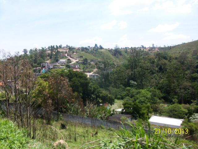 Sitio Terreno 195 Mil M² Ótima Área Investimento Loteamento - Foto 3