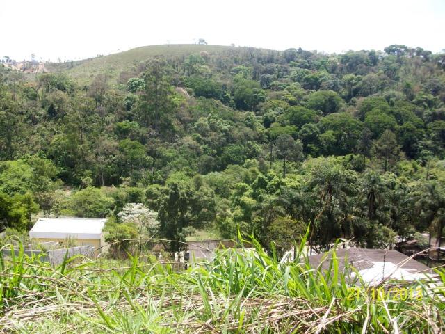 Sitio Terreno 195 Mil M² Ótima Área Investimento Loteamento - Foto 4