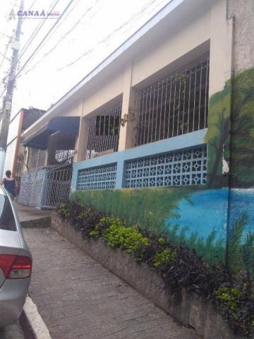 Terreno à venda, 350 m² por r$ 1.000.000,00 - jardim das palmas - são paulo/sp - Foto 3