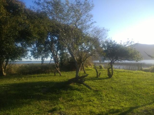 Alugo - Foto 5