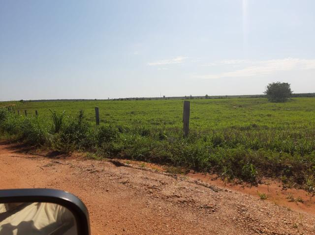 Fazenda de 154 alqueires - Foto 14