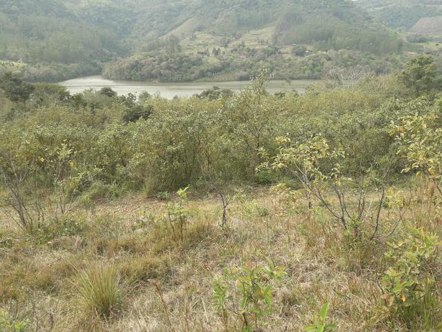 14,9 hectares de terra na beira do rio Uruguai - Foto 2