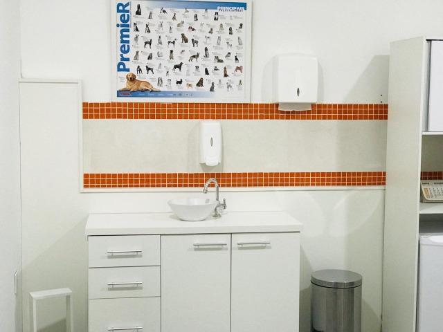 Pet Shop e Clinica Veterinária - Foto 12