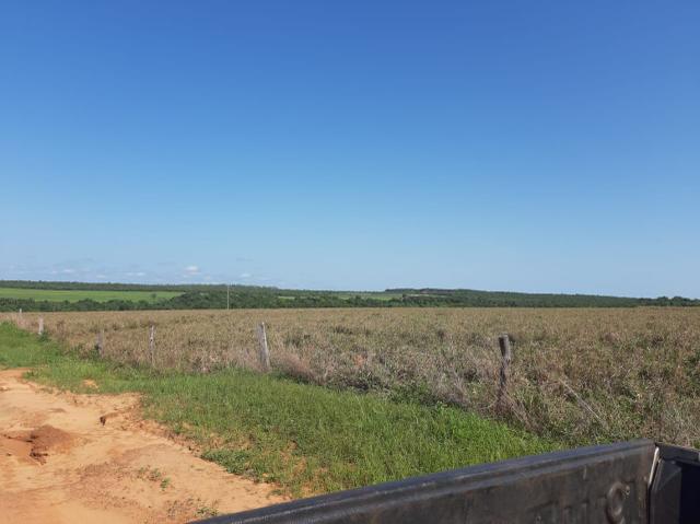 Fazenda de 154 alqueires - Foto 9