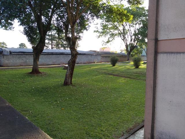 Abaixo do preço vendo condomínio rondon 2 dormitórios - Foto 4