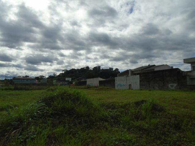 Terreno para alugar em Santa catarina, Joinville cod:08122.001 - Foto 9