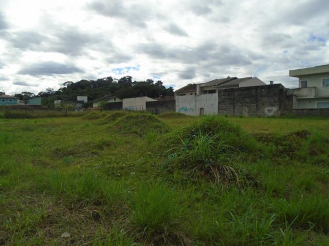 Terreno para alugar em Santa catarina, Joinville cod:08122.001 - Foto 16