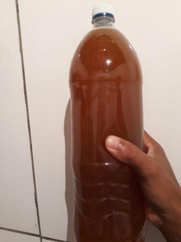 Vende se mel de abelha direto da Bahia