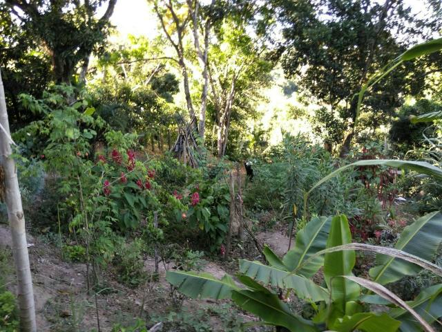 Vendo ou Troco chácara em Serra Dourada II por Sítio - Foto 19
