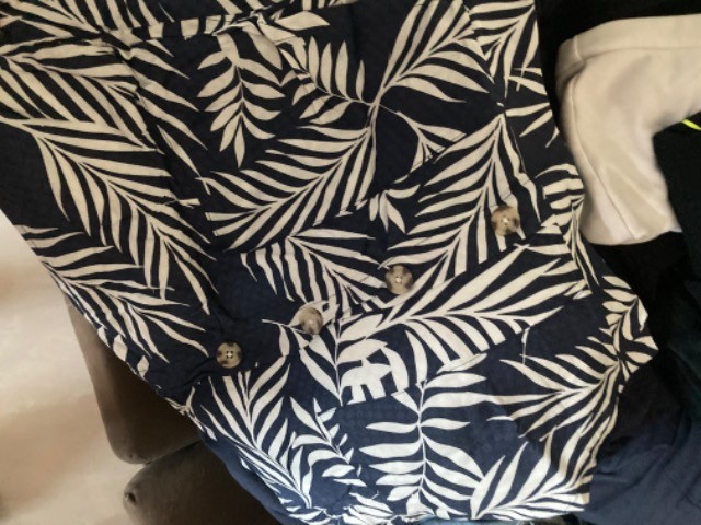 Saia estampada - Foto 3