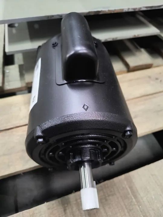 Motor Elétrico Weg 1/2 CV 2 Polos Monofásico Seminovo