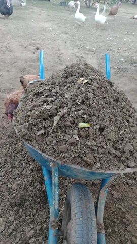 Fertizante orgânico ( Esterco bovino)