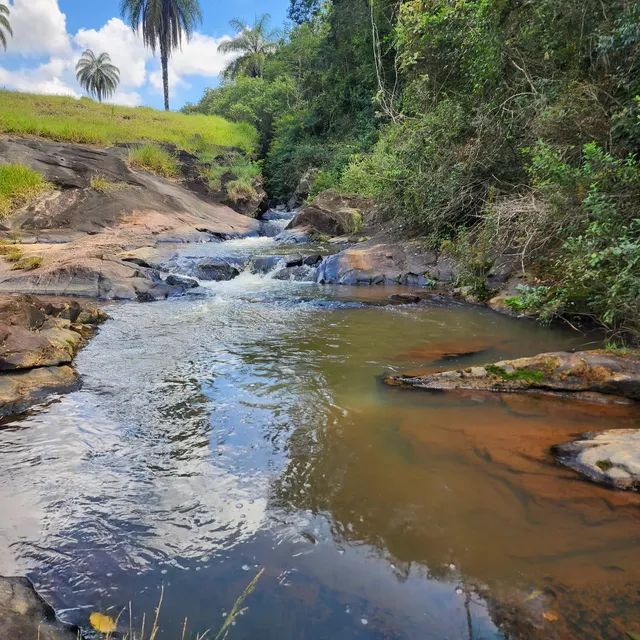 Lindo Sítio 3 hectares Santa Bárbara - Foto 14