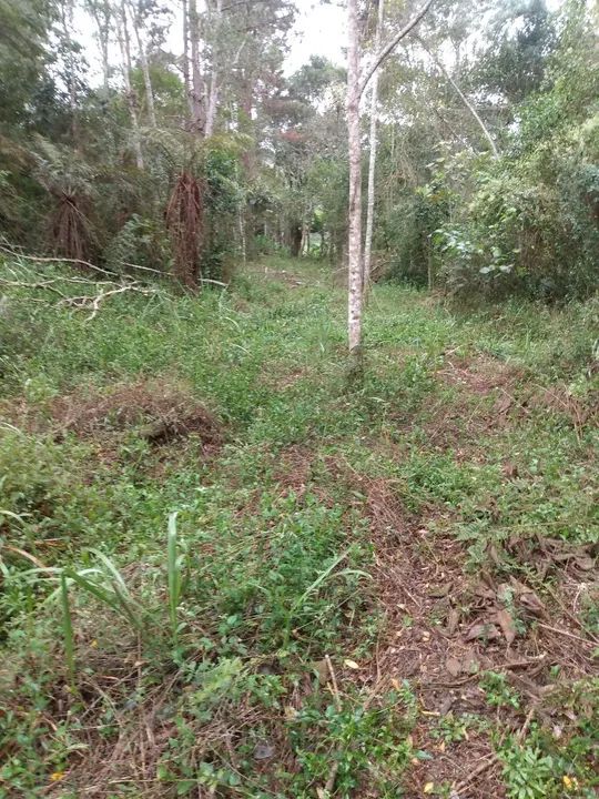 Área 37.650 m2 Embú Guaçu/Parelheiros  - Foto 7