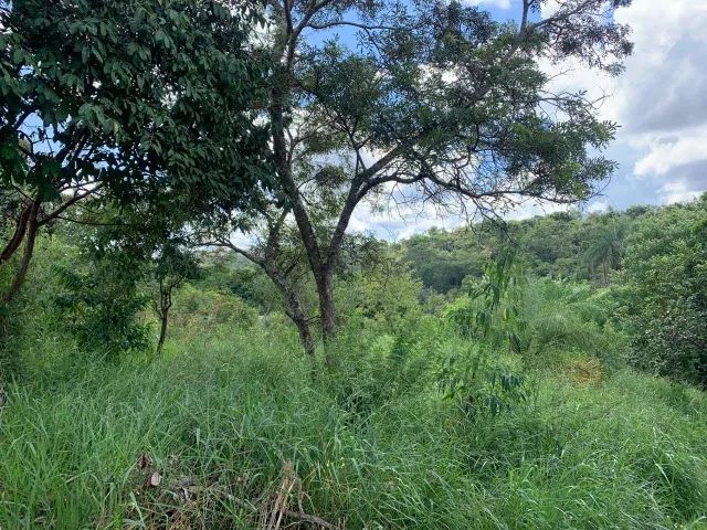 Terreno rural 2,3ha com rio nos fundos Jaboticatubas. - Foto 5