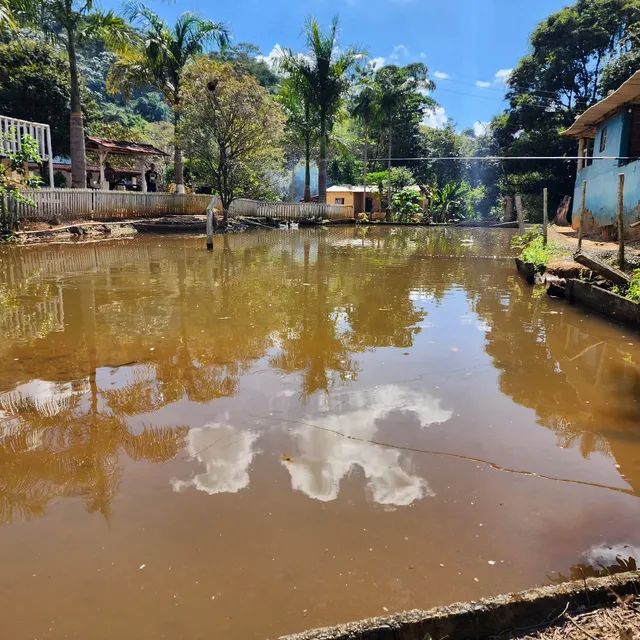 Lindo Sítio 3 hectares Santa Bárbara - Foto 3