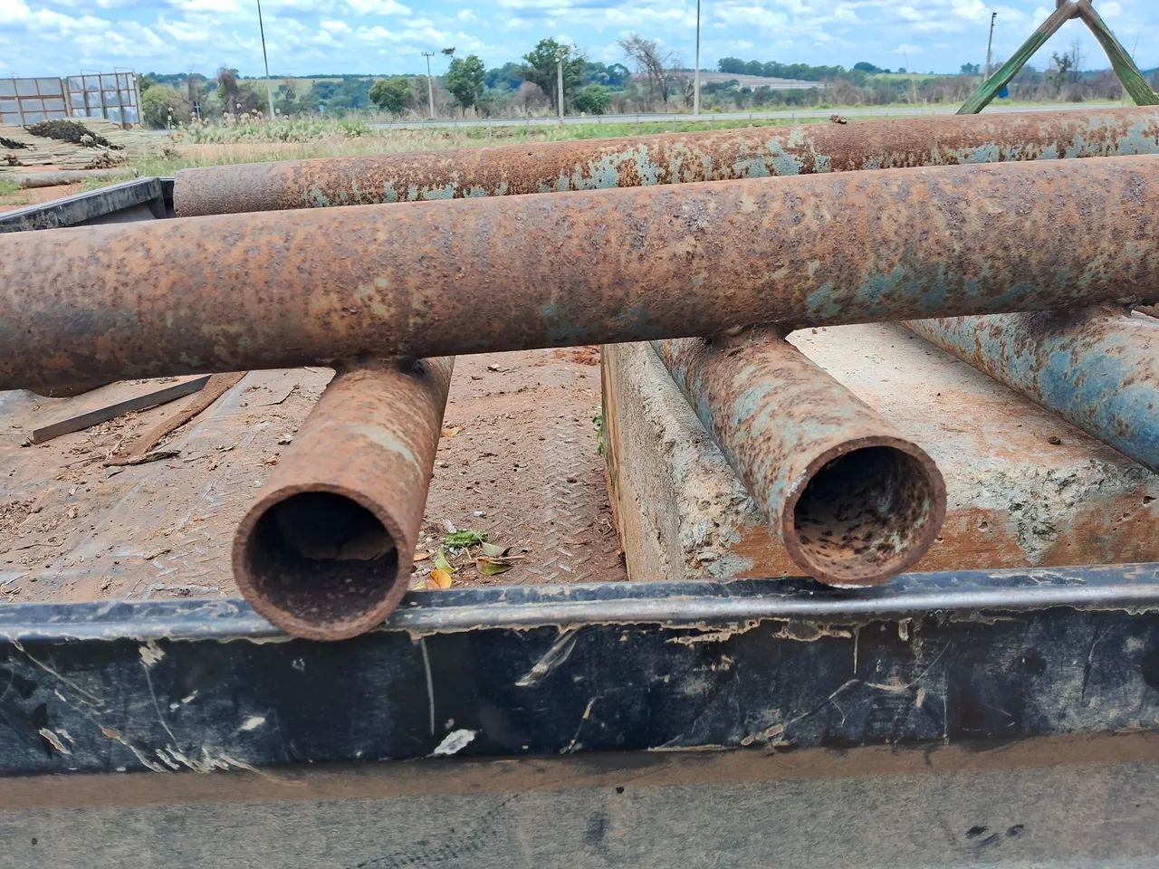 Mata burro  - Foto 5