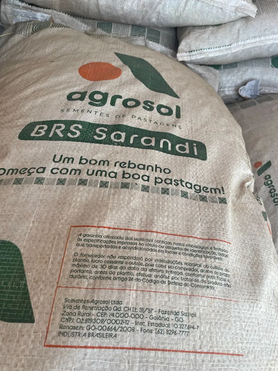 Vendo semente de Capim Sarandi - Foto 2